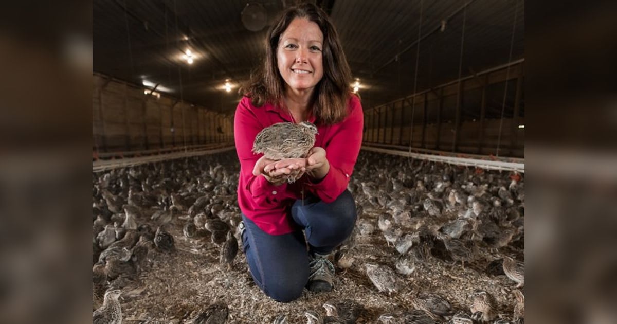 Second-Generation Owner Scales America's Oldest Quail Farm