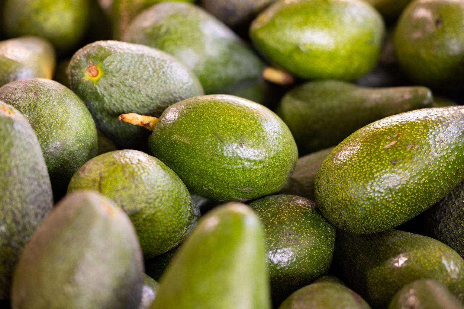 Del Rey Avocado Launches Big Reys and lil' reys Bagged Lines