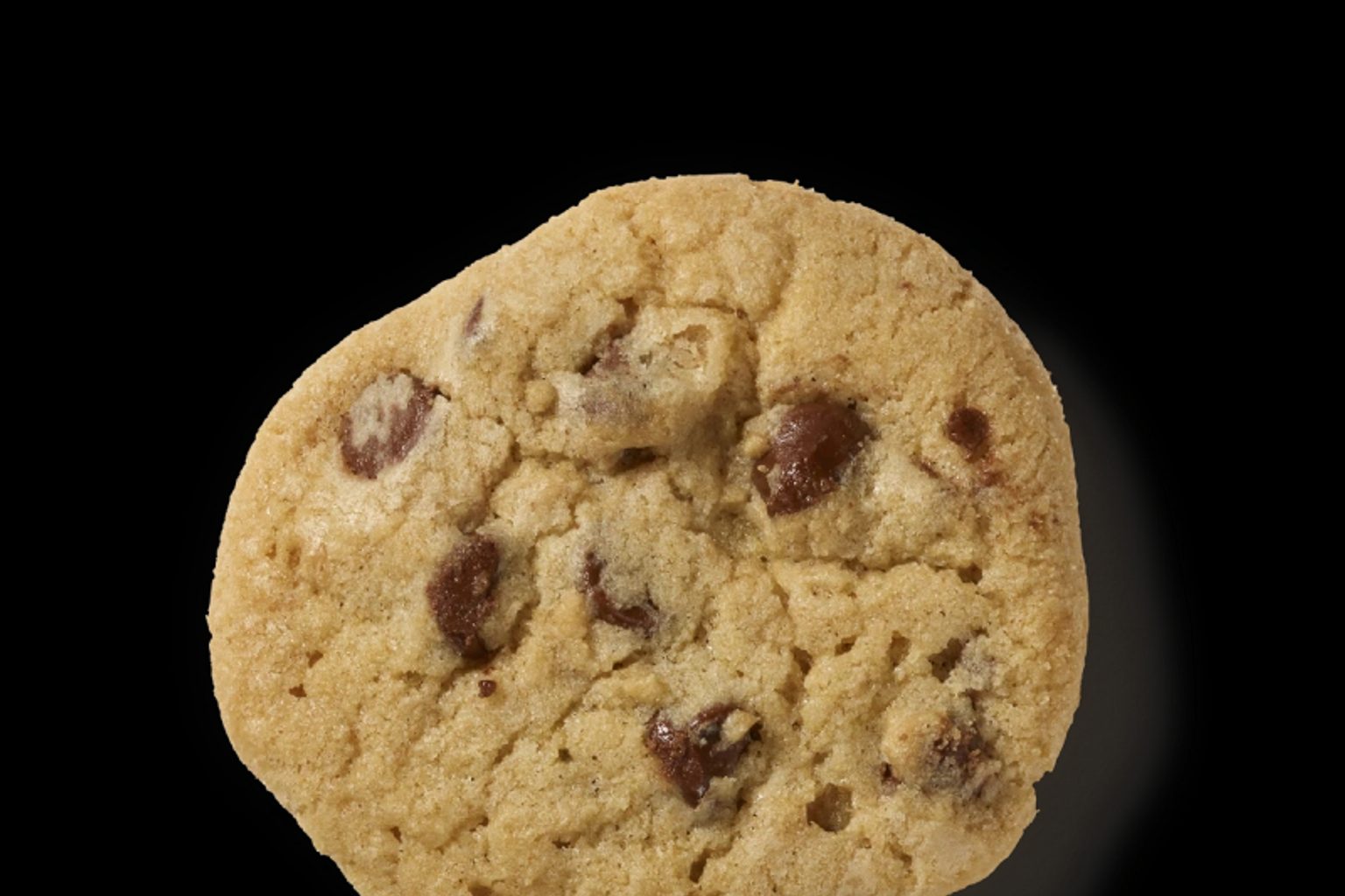 Graceful Cookie Co. Wins Innovation Award for Dessert-Inspired Cookies