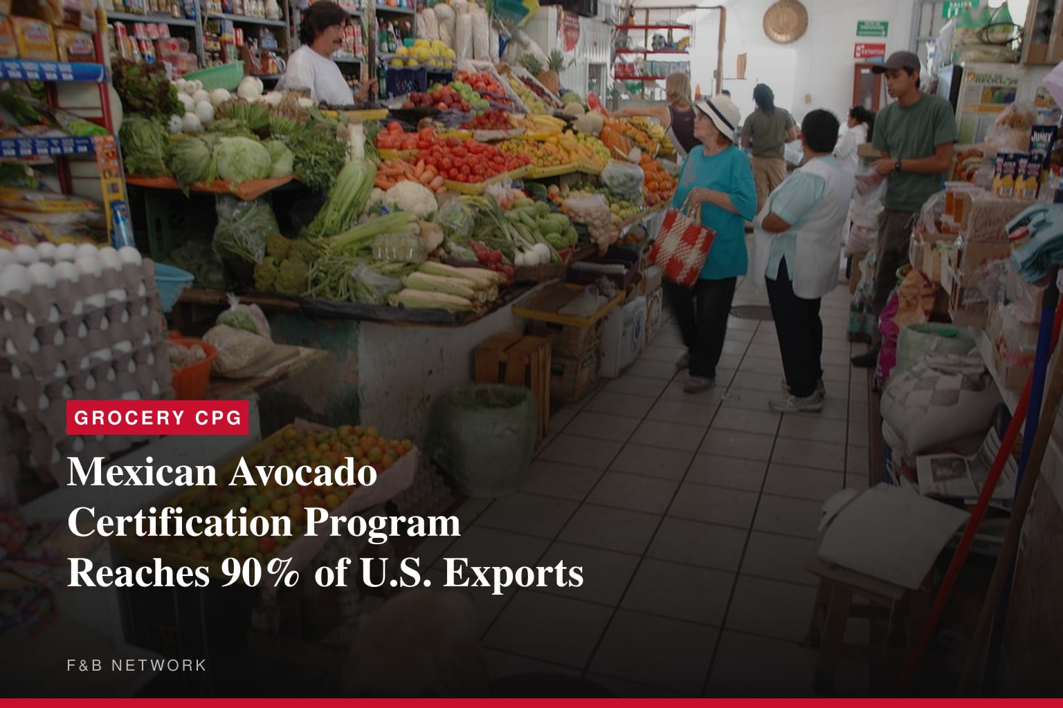 Mexican Avocado Certification Program Reaches 90% of U.S. Exports