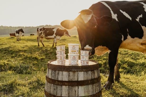 Painterland Sisters Launches First National Skyr Yogurt Day