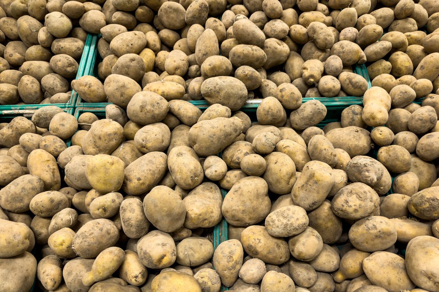 Potandon Produce Launches Grower Alliance for Quality
