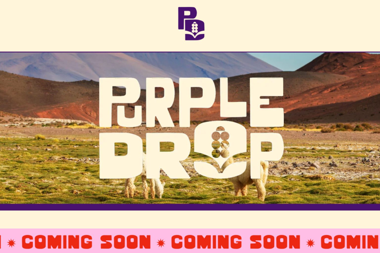 Purple Drop Wins 2026 Startup CPG Shelfie Award
